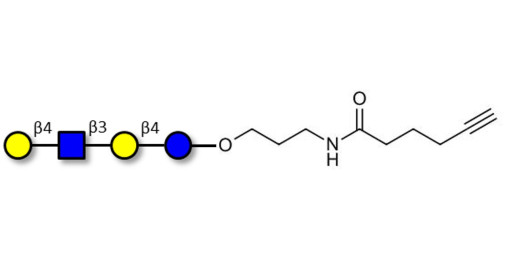 Lacto-N-neotetraose (LNnT / neo-LNT) with terminal alkyne (Linker-CΞCH C)