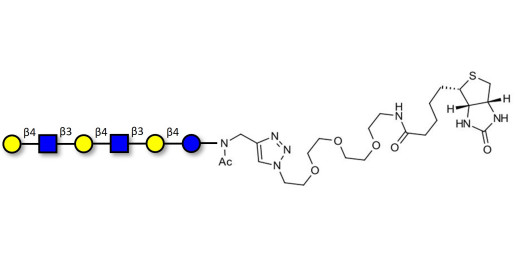 Para-Lacto-N-neohexaose (Para-LNnH) linked to biotin (Linker-BT A)