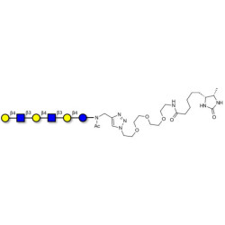 Para-Lacto-N-neohexaose (Para-LNnH) linked to desthiobiotin (Linker-DBT-A)