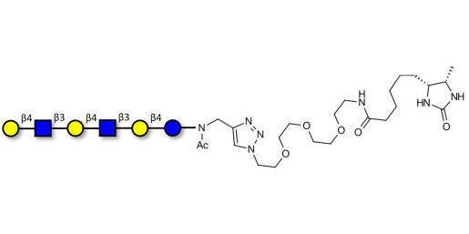 Para-Lacto-N-neohexaose (Para-LNnH) linked to desthiobiotin (Linker-DBT-A)