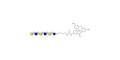 Para-Lacto-N-neohexaose (Para-LNnH) linked to fluorescein (Linker-FLUO A)