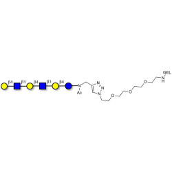 Para-Lacto-N-neohexaose (Para-LNnH) grafted on gel for affinity chromatography (Linker-GEL A)