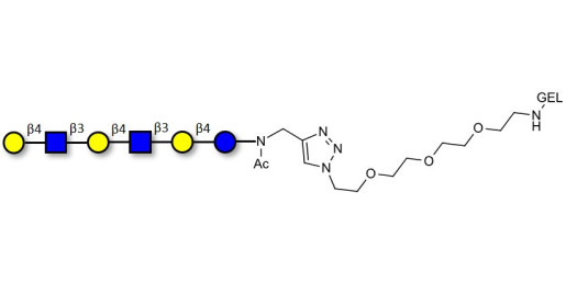 Para-Lacto-N-neohexaose (Para-LNnH) grafted on gel for affinity chromatography (Linker-GEL A)