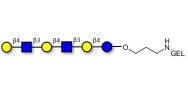 Para-Lacto-N-neohexaose...