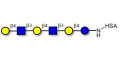 Para-Lacto-N-neohexaose (Para-LNnH) grafted on HSA