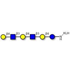 Para-Lacto-N-neohexaose (Para-LNnH) grafted on KLH
