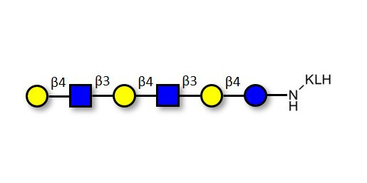 Para-Lacto-N-neohexaose (Para-LNnH) grafted on KLH