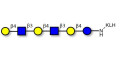 Para-Lacto-N-neohexaose (Para-LNnH) grafted on KLH