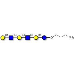 Para-Lacto-N-neohexaose (Para-LNnH) with free terminal amine (Linker-NH2 A)