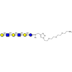 Para-Lacto-N-neohexaose (Para-LNnH) with free terminal amine (Linker-NH2 B)