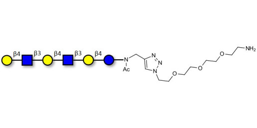Para-Lacto-N-neohexaose (Para-LNnH) with free terminal amine (Linker-NH2 B)