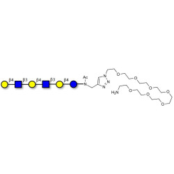 Para-Lacto-N-neohexaose (Para-LNnH) with free terminal amine (Linker-NH2 C)