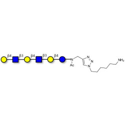 Para-Lacto-N-neohexaose (Para-LNnH) with free terminal amine (Linker-NH2 D)
