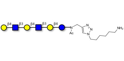 Para-Lacto-N-neohexaose (Para-LNnH) with free terminal amine (Linker-NH2 D) - GLY022-NAc-sp4-NH2