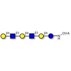 Para-Lacto-N-neohexaose (Para-LNnH) grafted on OVA