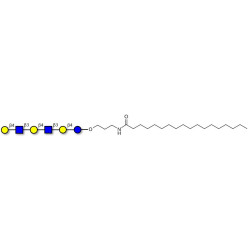 Para-Lacto-N-neohexaose (Para-LNnH) with stearic chain (Linker-STEA A)