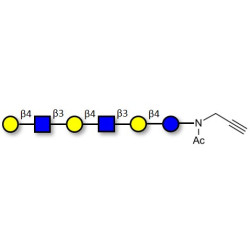 Para-Lacto-N-neohexaose (Para-LNnH) with terminal alkyne (Linker-CΞCH A)