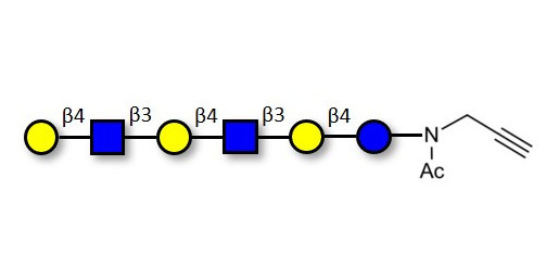 Para-Lacto-N-neohexaose (Para-LNnH) with terminal alkyne (Linker-CΞCH A) - GLY022-NPR