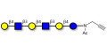 Para-Lacto-N-neohexaose (Para-LNnH) with terminal alkyne (Linker-CΞCH A) - GLY022-NPR