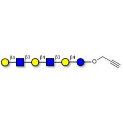 Para-Lacto-N-neohexaose (Para-LNnH) with terminal alkyne (Linker-CΞCH B)