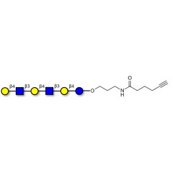 Para-Lacto-N-neohexaose (Para-LNnH) with terminal alkyne (Linker-CΞCH C)