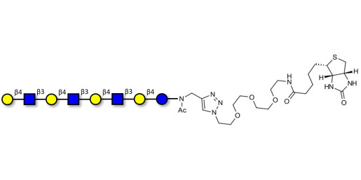 Lacto-N-neooctaose (LNnO) linked to biotin (Linker-BT A)
