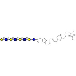 Lacto-N-neooctaose (LNnO) linked to desthiobiotin (Linker-DBT-A)