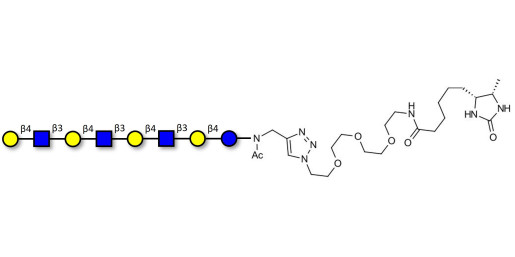 Lacto-N-neooctaose (LNnO) linked to desthiobiotin (Linker-DBT-A)