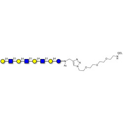 Lacto-N-neooctaose (LNnO) grafted on gel for affinity chromatography (Linker-GEL A)