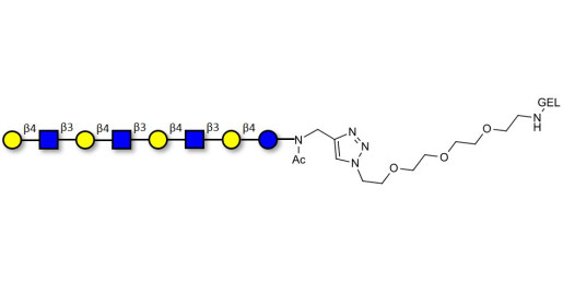 Lacto-N-neooctaose (LNnO) grafted on gel for affinity chromatography (Linker-GEL A)