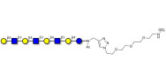 Lacto-N-neooctaose (LNnO)...