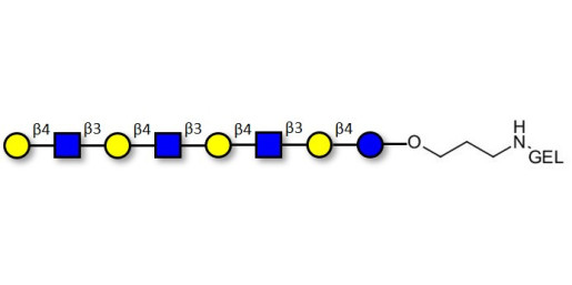 Lacto-N-neooctaose (LNnO) grafted on gel for affinity chromatography (Linker-GEL B)