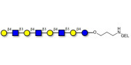 Lacto-N-neooctaose (LNnO)...