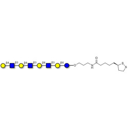 Lacto-N-neooctaose (LNnO) with cyclic di-thiol (Linker-LIPO A)