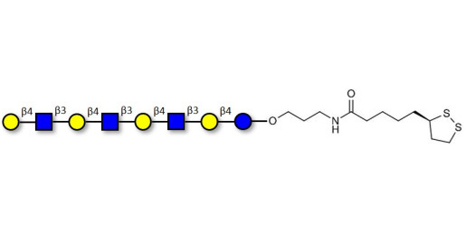 Lacto-N-neooctaose (LNnO) with cyclic di-thiol (Linker-LIPO A)