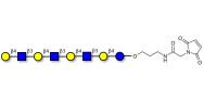 Lacto-N-neooctaose (LNnO)...