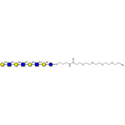 Lacto-N-neooctaose (LNnO) with terminal azide (Linker-N3 A)