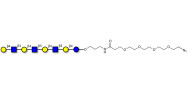 Lacto-N-neooctaose (LNnO)...