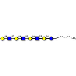 Lacto-N-neooctaose (LNnO) with free terminal amine (Linker-NH2 A)