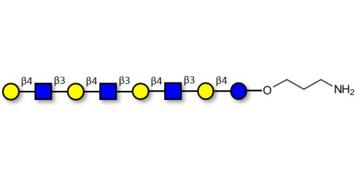Lacto-N-neooctaose (LNnO) with free terminal amine (Linker-NH2 A)
