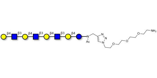 Lacto-N-neooctaose (LNnO) with free terminal amine (Linker-NH2 B)