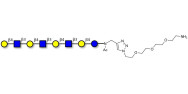 Lacto-N-neooctaose (LNnO)...