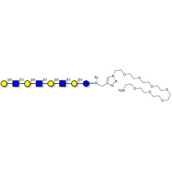 Lacto-N-neooctaose (LNnO) with free terminal amine (Linker-NH2 C)