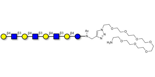 Lacto-N-neooctaose (LNnO) with free terminal amine (Linker-NH2 C)