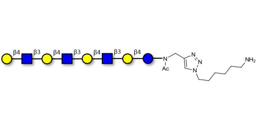 Lacto-N-neooctaose (LNnO) with free terminal amine (Linker-NH2 D)