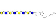 Lacto-N-neooctaose (LNnO)...
