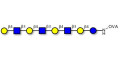 Lacto-N-neooctaose (LNnO) grafted on OVA