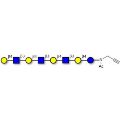 Lacto-N-neooctaose (LNnO) with terminal alkyne (Linker-CΞCH A)