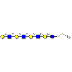 Lacto-N-neooctaose (LNnO) with terminal alkyne (Linker-CΞCH B)
