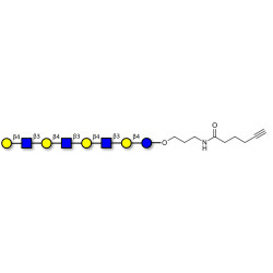 Lacto-N-neooctaose (LNnO) with terminal alkyne (Linker-CΞCH C)